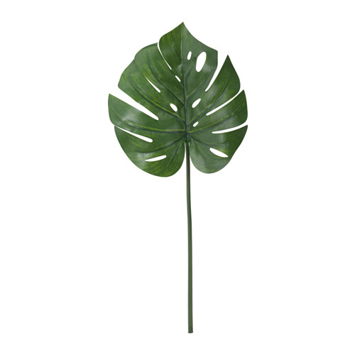 monstera-ikea