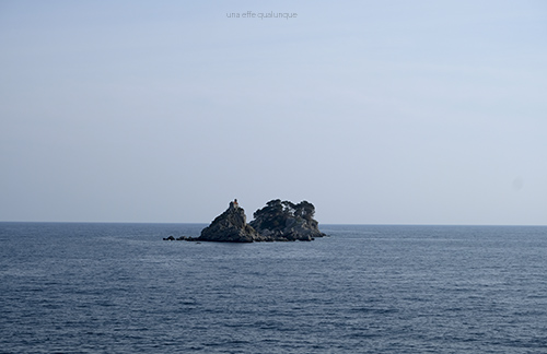 Petrovac (10)