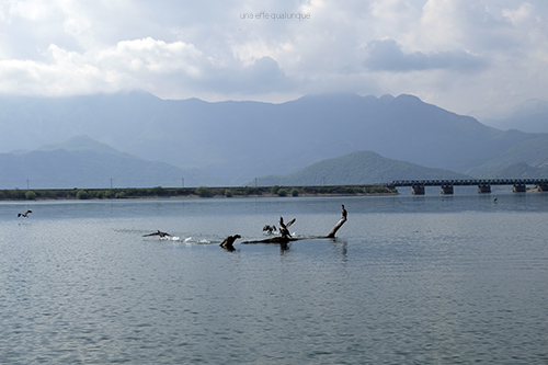 skadar lake (5)