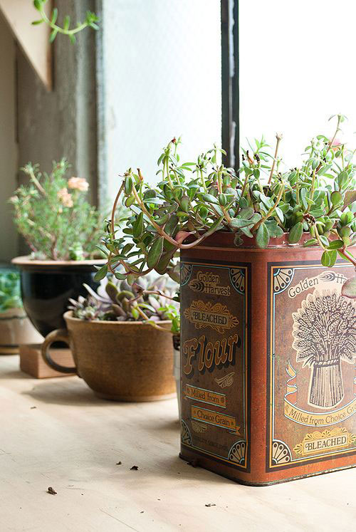 3a8c4025263c30e8fedf4ef8115b56b7